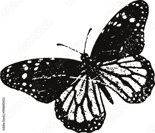 Monarch butterfly silhouette with detailed wing patterns in black and white design