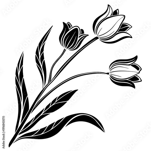 Stylized black and white illustration of a trio of tulips with flowing leaves, perfect for elegant floral designs and springtime themes.