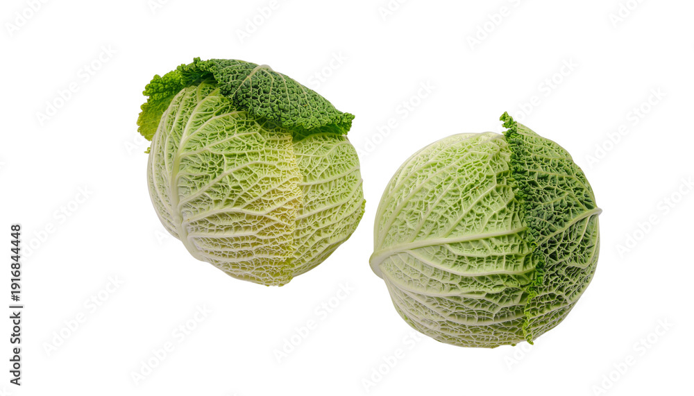 Fototapeta premium Two green cabbages with visible leaf texture are positioned side by side in the frame clean white background cutout
