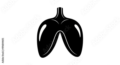 An elegant black silhouette of the human diaphragm, with smooth anchor points and precise curves, perfect for medical and anatomical illustrations