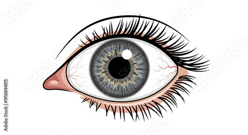 A close-up, detailed illustration of a human eye, highlighting the iris and eyelashes