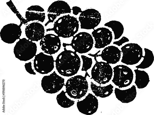 black and white vintage grape cluster illustration retro fruit sketch hand drawn grapevine design
