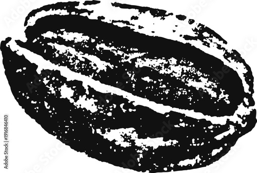 Single coffee bean illustration in black and white, detailed textured close up of coffee seed
