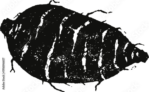 Black and white illustration of a sweet potato root vegetable with rough skin and irregular shape