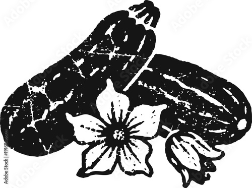 Black and white sketch of cucumbers and cucumber flowers, garden vegetable illustration