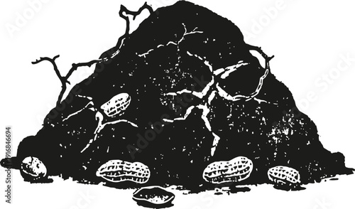 Pile of peanuts with shells and roots, natural organic food illustration