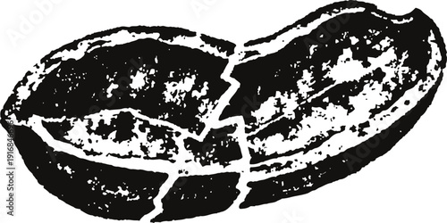 cracked peanut shell isolated close up of broken nutshell texture with detailed grain