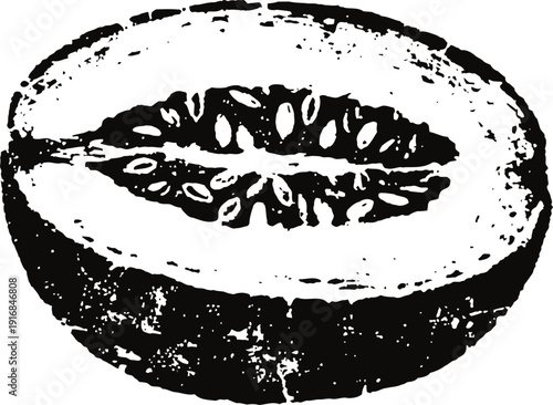 Vintage melon half illustration with visible seeds and juicy texture