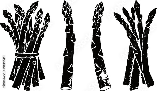 asparagus bundle and single stalks set fresh vegetable silhouettes with rustic texture