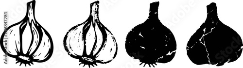 black and white garlic bulbs illustration set with cracked vintage art