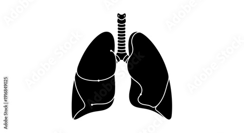 A silhouette illustration of the human respiratory system, displaying the lungs and trachea for medical and educational purposes