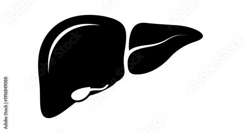 Clean human liver silhouette vector illustration, a flat 2D graphic depicting internal anatomy, medical science, and vital organ health. Perfect for educational and healthcare designs