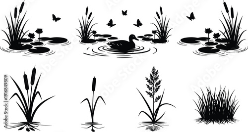 Flat vector illustration of pond wildlife silhouettes, duck and reed plants set, decorative wetland nature scene, black design