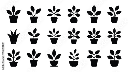 Collection of indoor plant silhouettes in black pots on white background for decoration and design