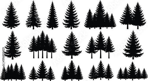 Black vector silhouette set of various evergreen pine and spruce trees for forest nature landscaping wilderness travel adventure and outdoor botanical branding