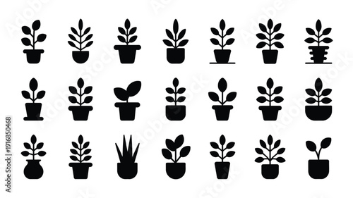 Collection of black indoor plant silhouettes in pots on white background for decoration and design