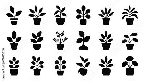 Collection of decorative indoor plant silhouettes in black pots on white background for design and decoration