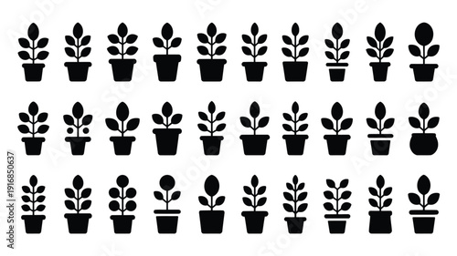 Collection of various potted plant silhouettes in black on white background for design and decoration