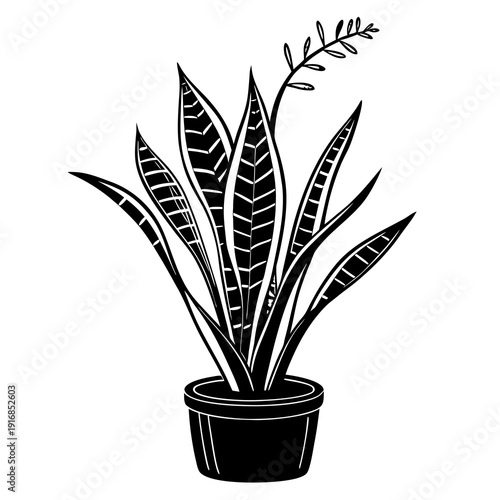 Potted snake plant illustration in black and white, highlighting its vertical striped leaves and tall flowering spike, ideal for modern design.