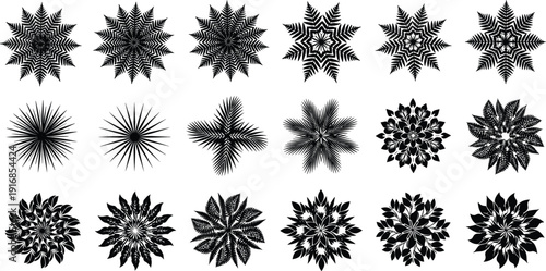 Black vector silhouette set of diverse botanical mandalas and floral ornaments with fern leaves for nature patterns eco branding and symmetric garden design