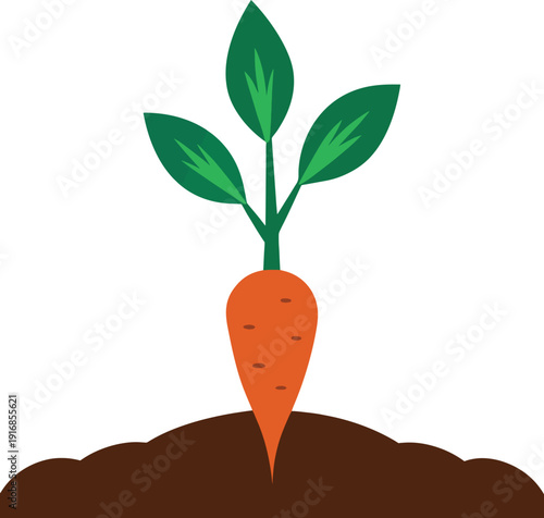 A vibrant illustration depicts a carrot growing from the earth showcasing its green leaves and orange root