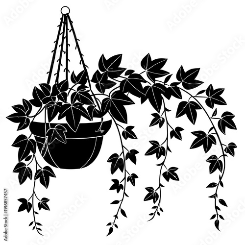Detailed silhouette of a vibrant hanging ivy plant in a pot, with leaves gracefully trailing downwards.