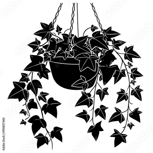 Stylized silhouette of a dense, hanging ivy plant in a pot, showcasing rich leaf textures.