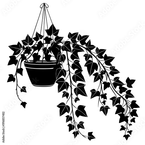 Black silhouette of a hanging potted ivy plant with long, cascading vines and detailed leaves, isolated on white.