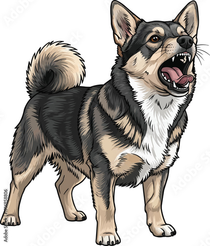 Swedish Vallhund Dog barking alert attentive pose illustration