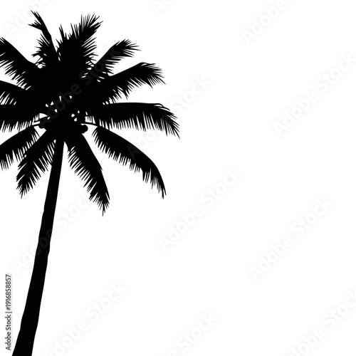 Palm Tree Silhouette Vector, Tropical Beach Coconut Tree Illustration, Summer Island Nature Logo, Exotic Paradise Palm Clipart, Black Palm Tree Icon Isolated on White Background