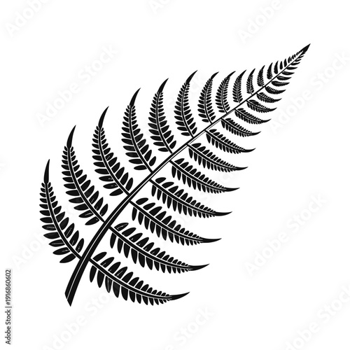 Elegant black and white fern leaf illustration