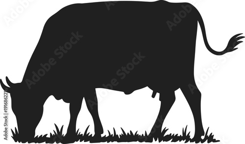 Cow silhouette grazing on grass, black vector illustration, farm animal livestock icon, rural agriculture, isolated nature design graphic,