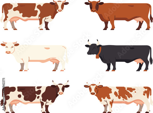 Dairy cow breeds illustration set, farm cattle livestock animals, flat vector agriculture milk production isolated background collection design