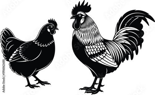 WebBlack and white vector illustration of a rooster and hen, farm poultry silhouettes, decorative chicken line art on white background.
