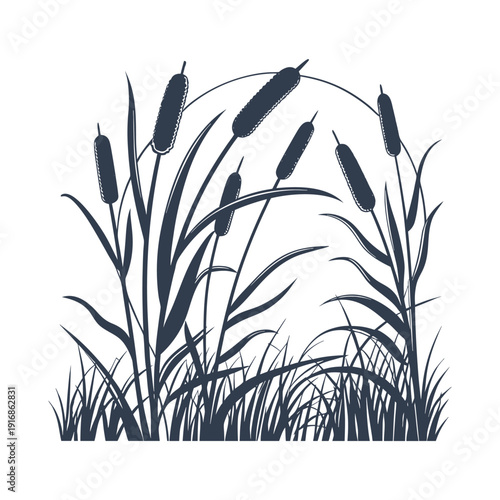 Silhouette of tall grass and cattails in a marsh capturing tranquil wetland scenery