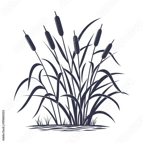 Black and white illustration of cattails growing in water with natural wetland detail