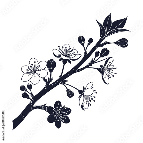Elegant monochrome floral branch illustration with refined blossoms and graceful curves