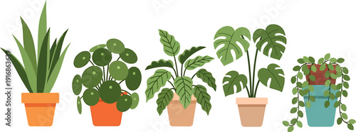 Modern Flat Design Vector Illustration of Popular Indoor Houseplants Collection