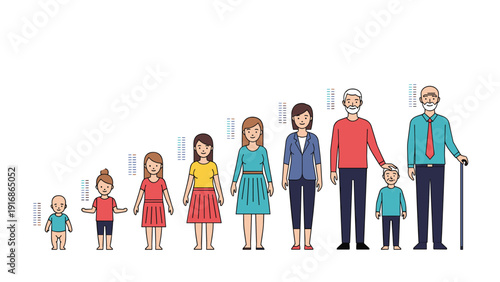 Illustration of the human aging process from infancy to old age shows the different stages of life for both men and women in a line.