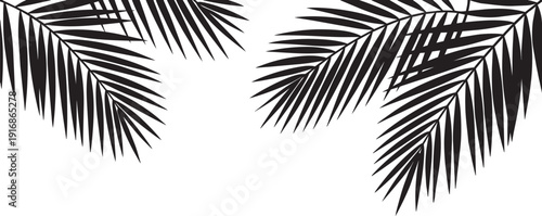 Palm leaves tropical border frame vector illustration isolated on white background EPS design elements set.