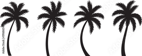 Palm tree silhouettes tropical island trees vector set isolated on white background EPS illustration pack.