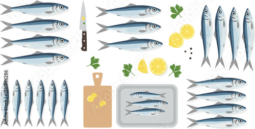 Fresh Sardine Fish Collection with Fillet on Tray Knife Cutting Board Lemon and Parsley Seafood Vector Illustration Set for Cooking and Market Design.