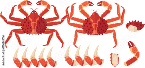 Red King Crab and Claws Seafood Vector Illustration Set with Isolated Marine Crustacean Elements for Restaurant Menu, Fish Market, and Culinary Design.