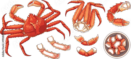 Fresh Octopus and Sliced Tentacles Seafood Vector Illustration Isolated on Light Background for Restaurant Menu, Culinary Design, and Marine Food Branding.