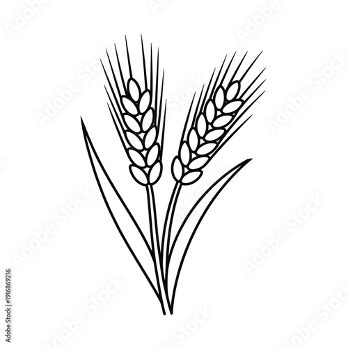Simple black and white illustration of two wheat stalks with leaves