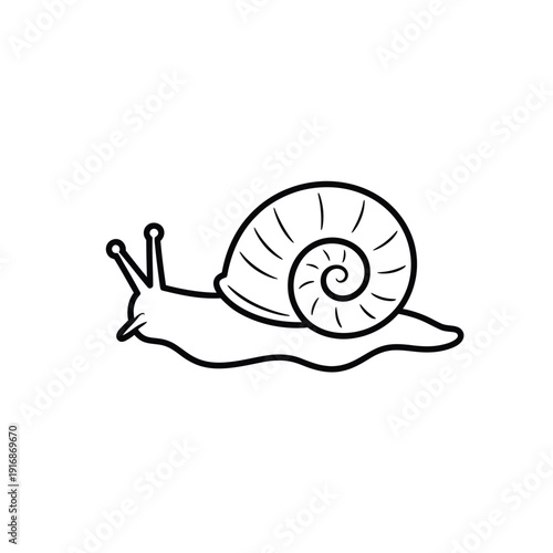 Simple line drawing of a snail with a spiral shell and body
