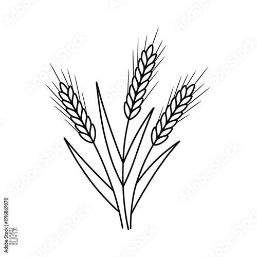 Simple line drawing of three wheat stalks with detailed grain heads