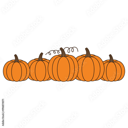 A row of cheerful orange pumpkins with green stems and curly tendrils