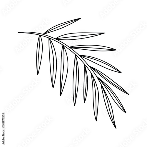 Simple line drawing of a single palm frond with elongated leaves