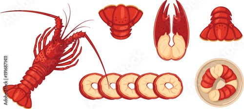 Lobster Tail Seafood Vector Set with Whole Cooked Sliced Meat and Bowl for Gourmet Restaurant Menu Food Design